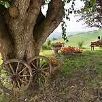 Albarossa Nizza Monferrato