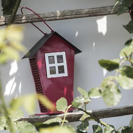 Albarossa * Nizza Monferrato