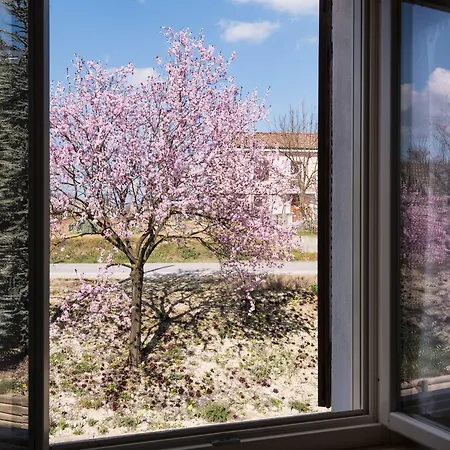 Albarossa Casa de Campo