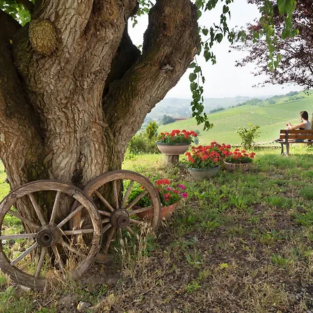 Albarossa Nizza Monferrato