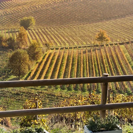 Albarossa Casa rural *