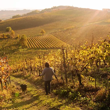 Albarossa Casa de Campo