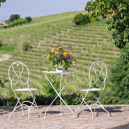 Albarossa * Nizza Monferrato