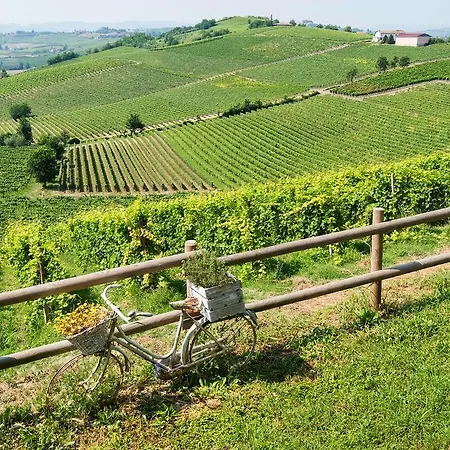 Casa de Campo Albarossa Nizza Monferrato
