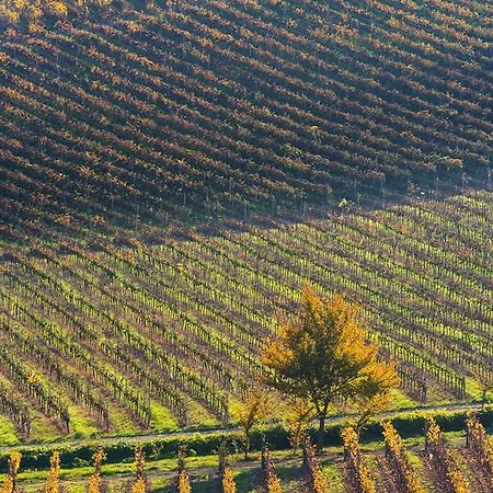 Albarossa Casa de Campo *