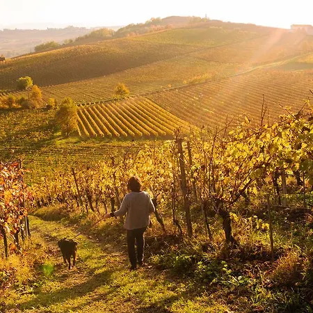 Albarossa