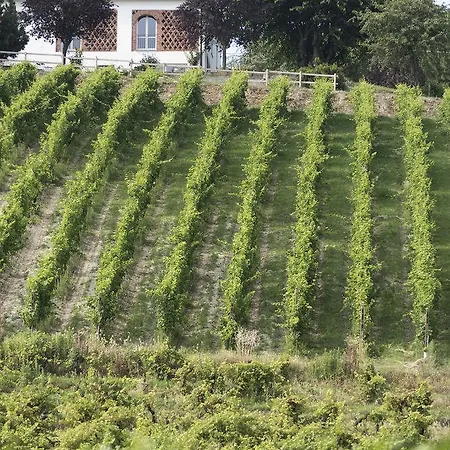 Albarossa Nizza Monferrato