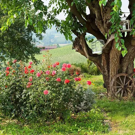 Casa de Campo Albarossa Nizza Monferrato