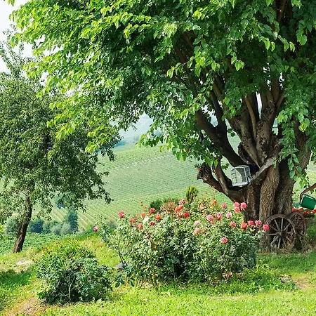 Casa de Campo Albarossa