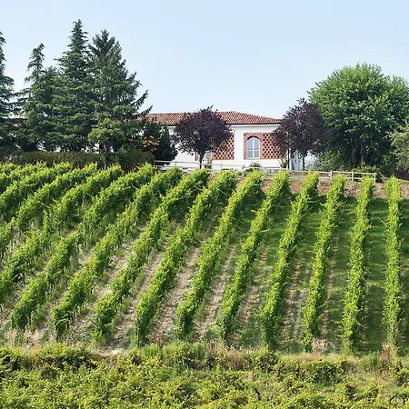 Albarossa * Nizza Monferrato