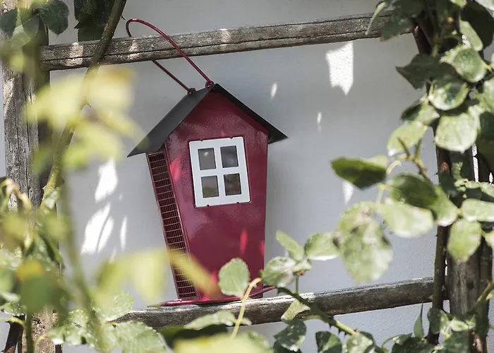 Albarossa * Nizza Monferrato