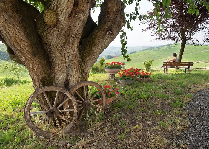 Albarossa Nizza Monferrato