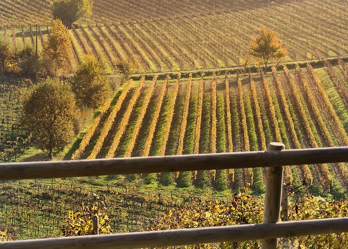 Albarossa Country house *