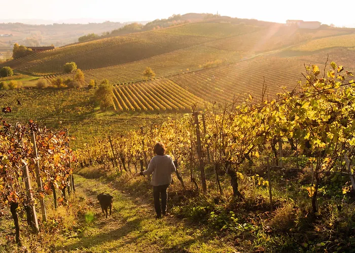 Albarossa Country house