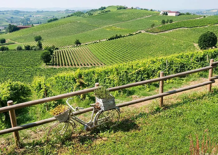 Gospodarstwo wiejskie Albarossa Nizza Monferrato