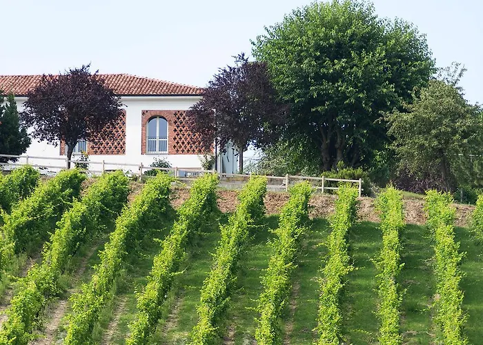 Albarossa Nizza Monferrato