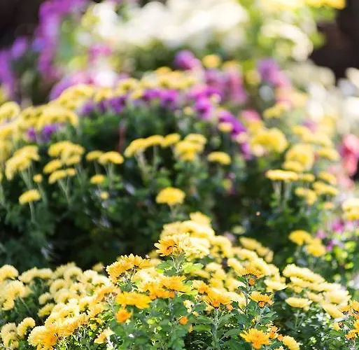 Albarossa Country house