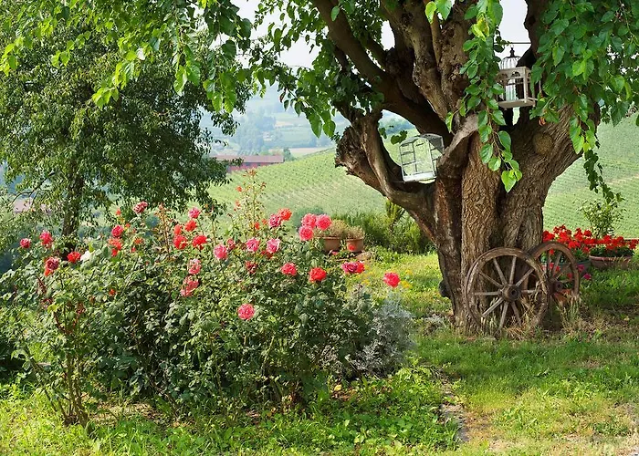 Gospodarstwo wiejskie Albarossa Nizza Monferrato