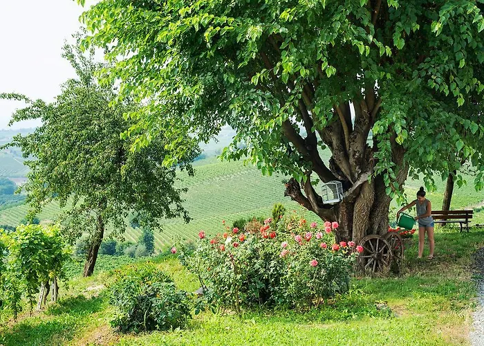 Gospodarstwo wiejskie Albarossa