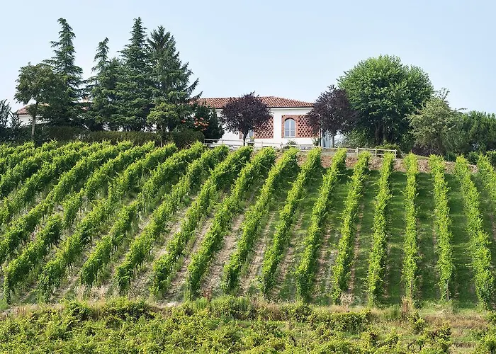 Albarossa * Nizza Monferrato